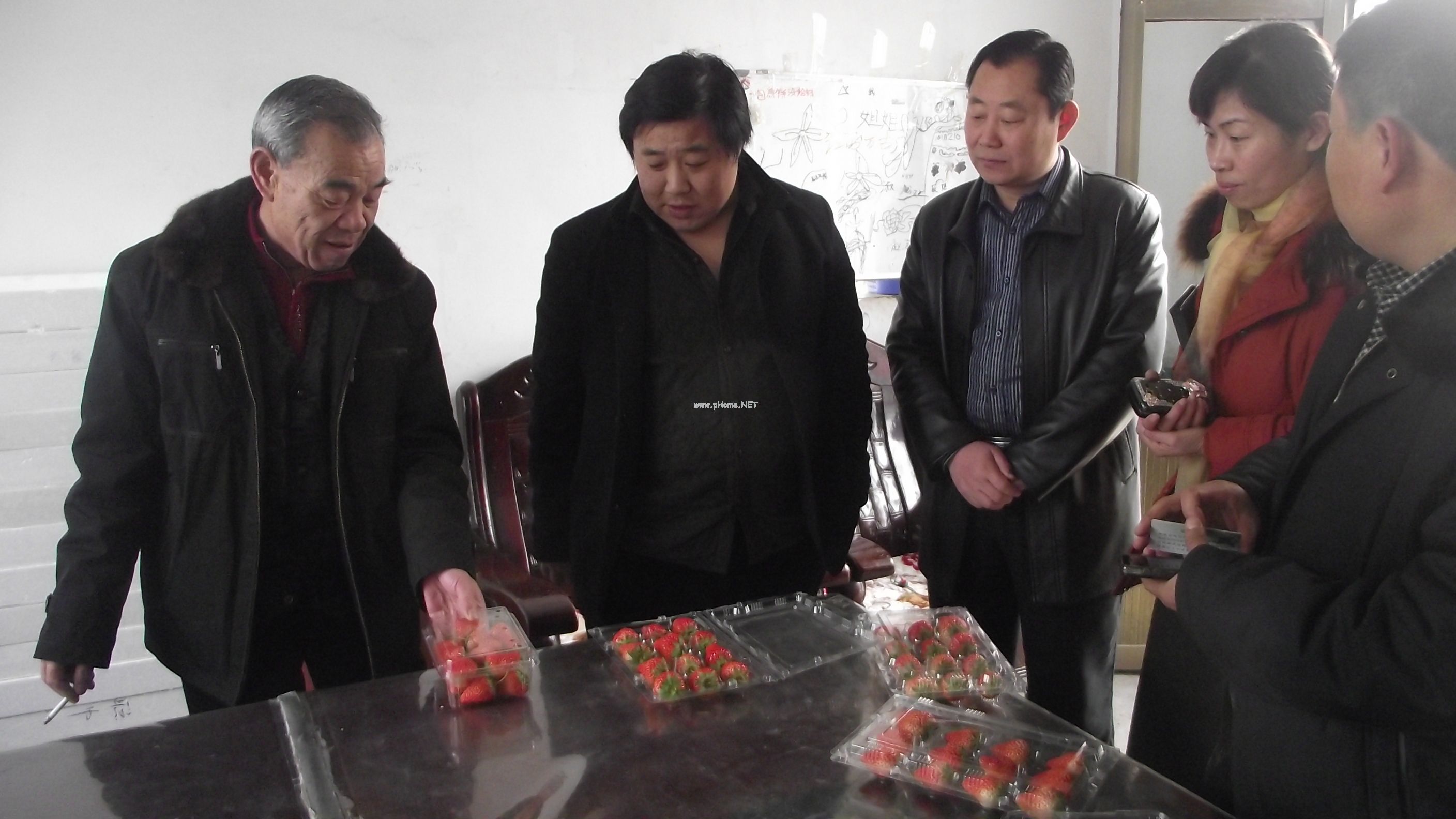 草莓保鮮盒 草莓專用保鮮盒百樂源