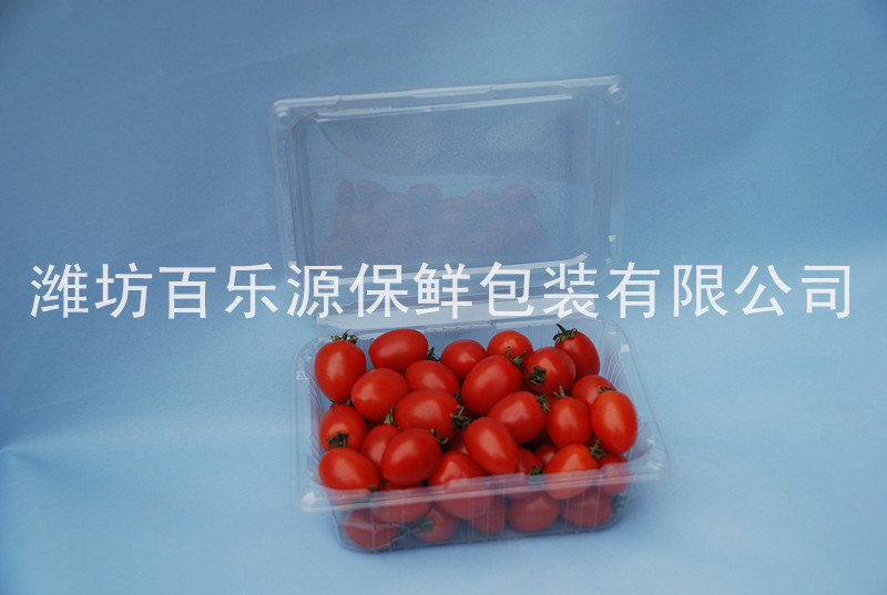 圣女果專用物理活性保鮮盒