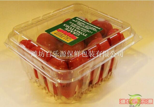 2014年西紅柿保鮮盒保鮮技術指導