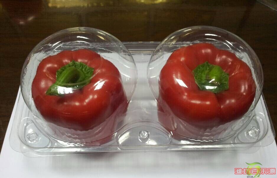 五彩椒專用保鮮盒