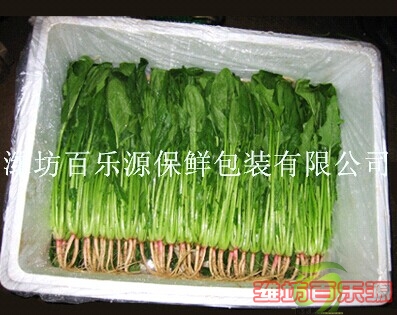 菠菜專用物理活性保鮮袋