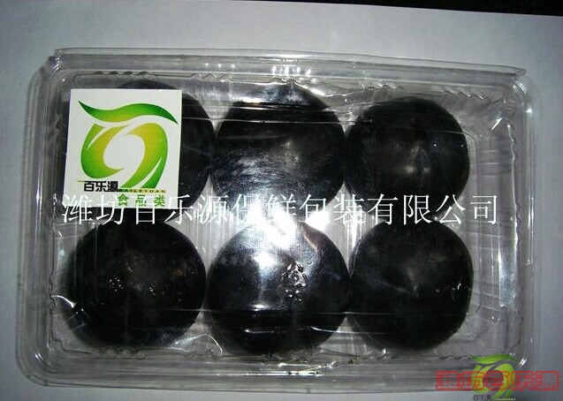 2014年黑布朗專用物理活性保鮮盒